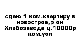 сдаю 1-ком.квартиру в новострое,р-он Хлебозавода ц.10000р ком.усл